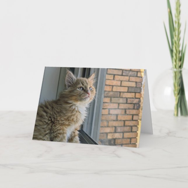 Huey looks out at the world card (Front)