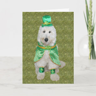 Huey McGoldendoodle St. Patrick's Day card