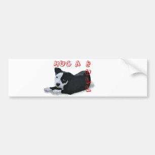 Hug-A-Bull Bumper Sticker