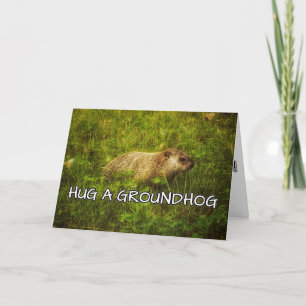 Hug a groundhog card