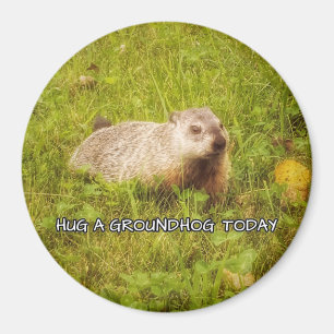 Hug a groundhog today magnet