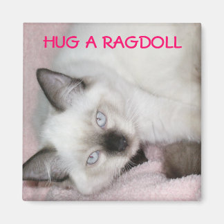 HUG A RAGDOLL MAGNET