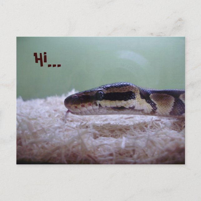 HUG POSTCARD (Front)