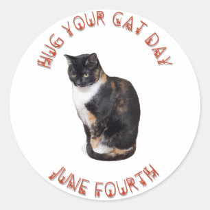 Hug Your Cat Day June 4th Classic Round Sticker
