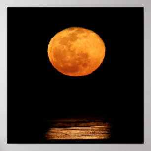 Huge Full Moon   South Padre Island, Texas Poster