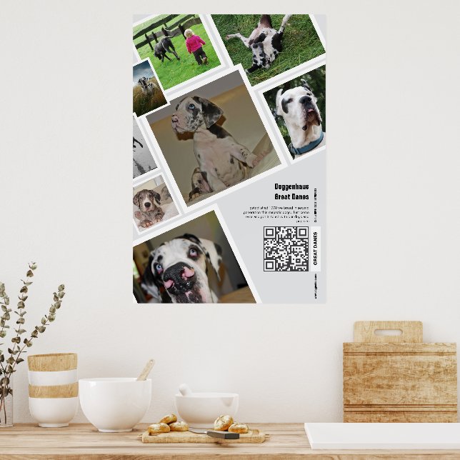 Huge Great Dane Kennel Promotion  Poster (Kitchen)