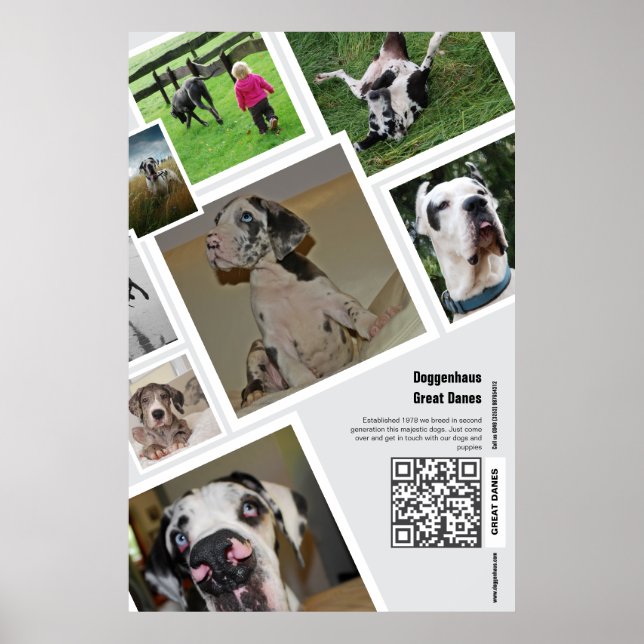 Huge Great Dane Kennel Promotion  Poster (Front)