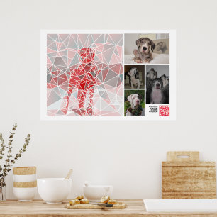 Huge Great Dane Puppy to sell poster