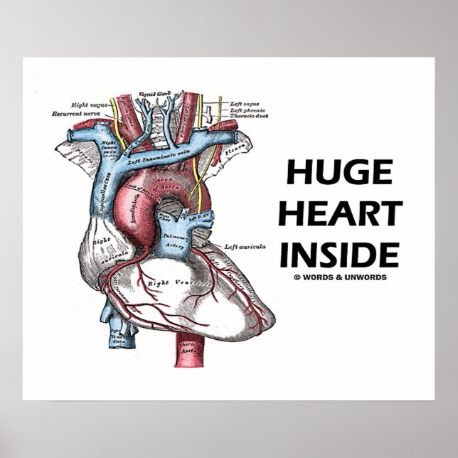 Huge Heart Inside (Anatomical Heart) Poster (Front)