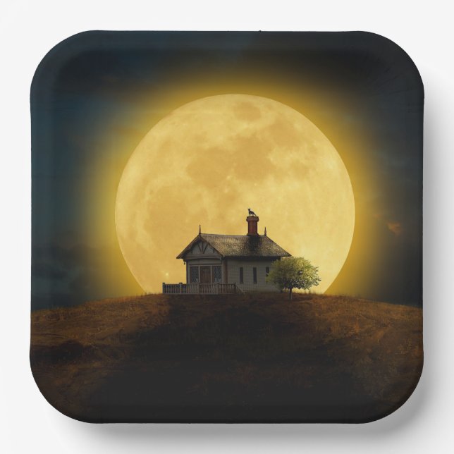 Huge Moon Paper Plate (Front)