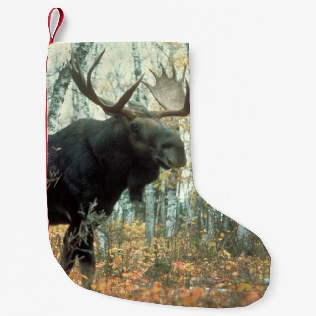 Huge Moose Small Christmas Stocking (Front)