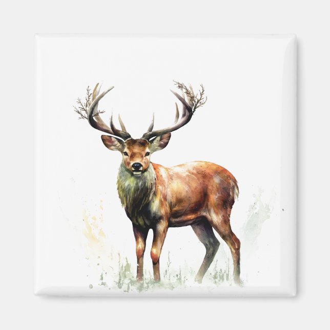 Huge Racked Deer  Magnet (Front)