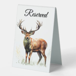 Huge Racked Deer Reserved