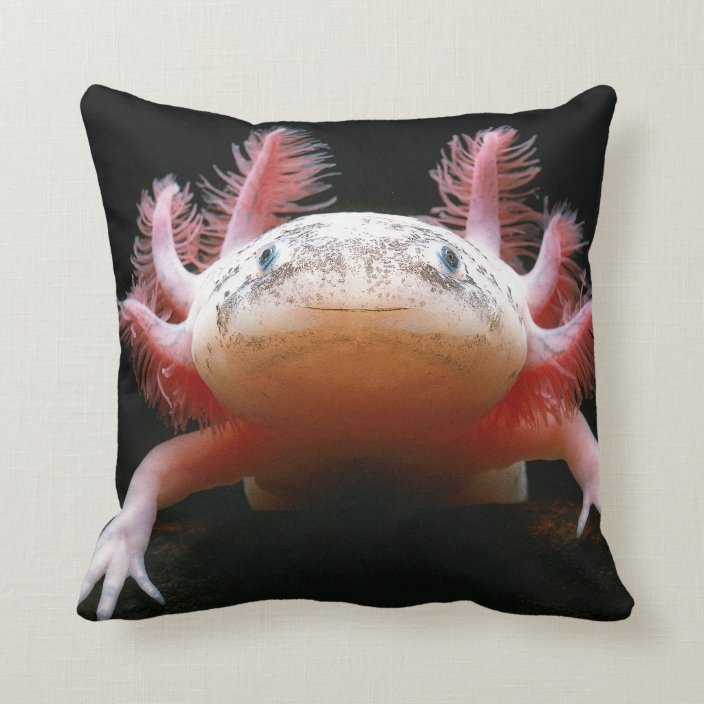 Huggable Axolotl BEAUTIFUL Pillow!! Cushion