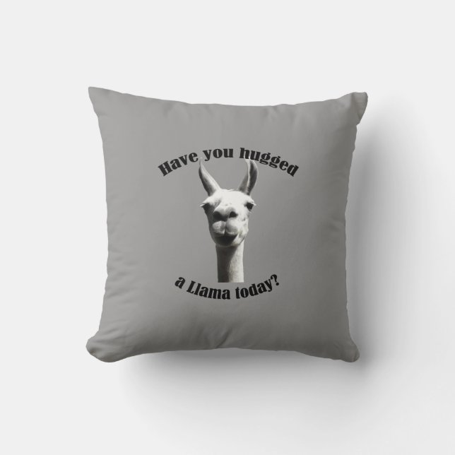 Hugged a Llama Cushion (Front)