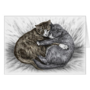 Hugging Cats Sleeping