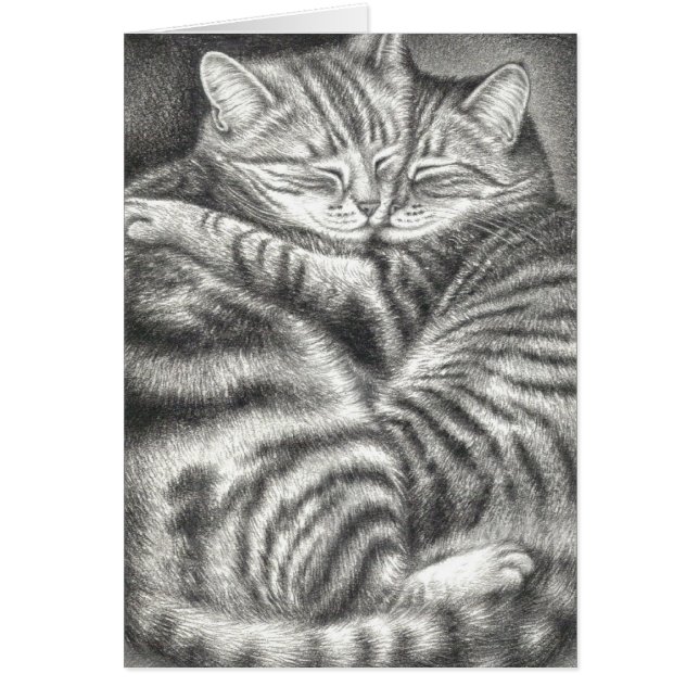 HUGGING TABBY CATS (Front)