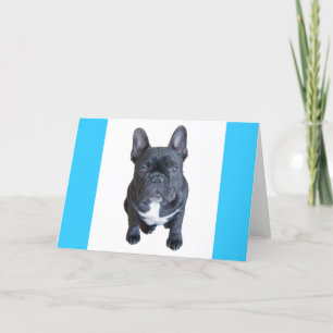 Hugo Card