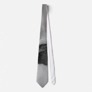 Hugo's Collection Tie