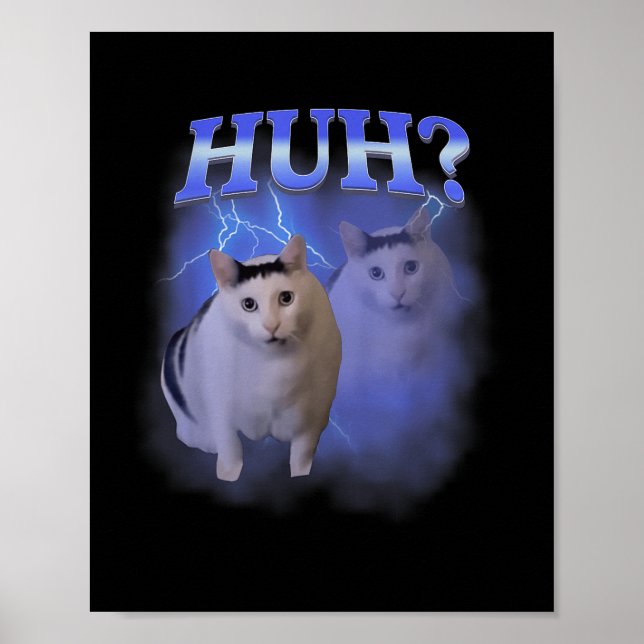 Huh Silly Cat Meme Funny Oddly Bootleg Specific Da Poster (Front)