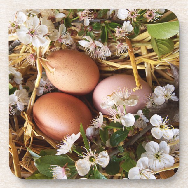 Hühnereier im Nest Coaster (Front)