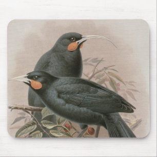 Huia Mouse Pad