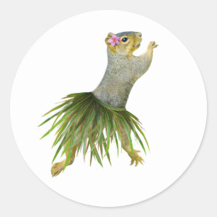 Hula Squirrel Sticker