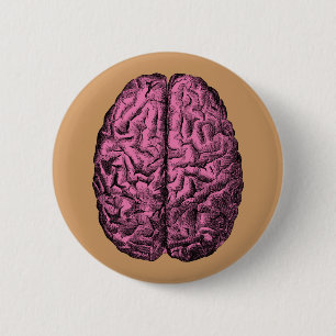 Human Anatomy Brain 6 Cm Round Badge