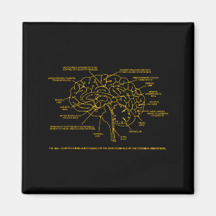 Human Anatomy Brain Shirt Medical Student Magnet