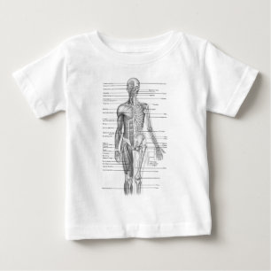 Human Anatomy Chart Baby T-Shirt