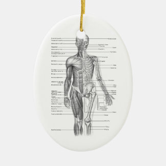 Human Anatomy Chart Ceramic Ornament