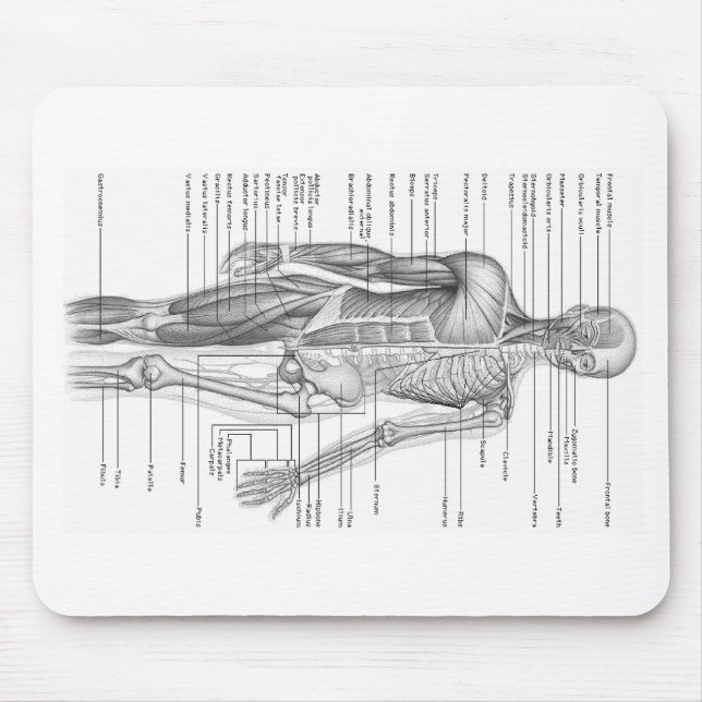 Human Anatomy Chart Mouse Pad (Front)