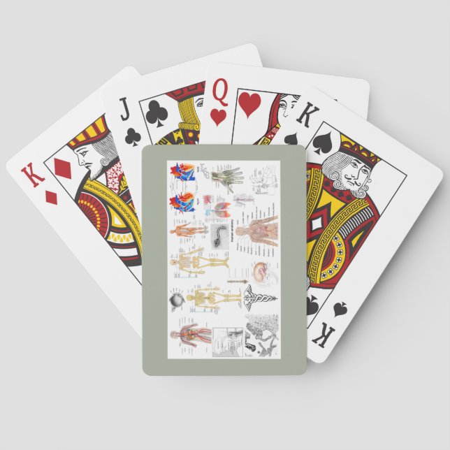 Human Anatomy Charts Playing Cards (Back)