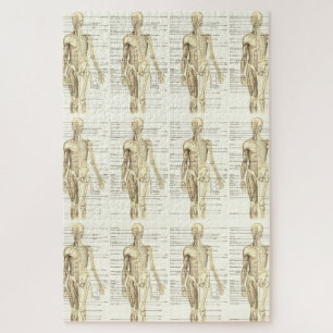 Human Anatomy Diagram with Labels   Jigsaw Puzzle