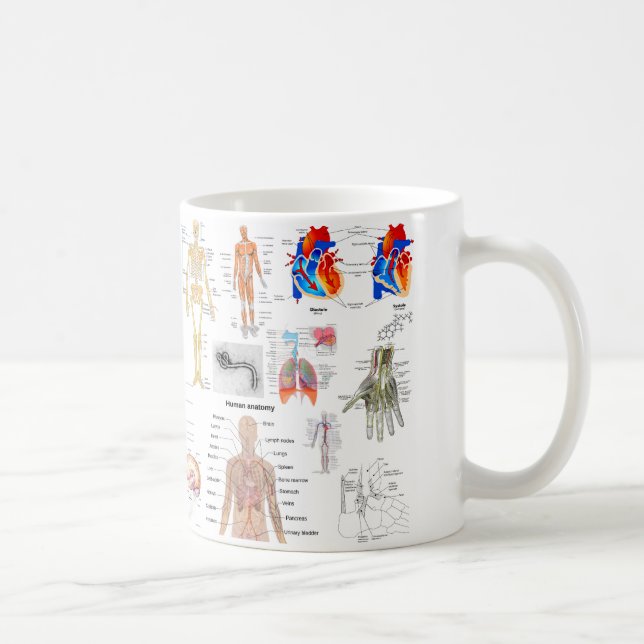 Human Anatomy Diagrams Coffee Mug (Right)
