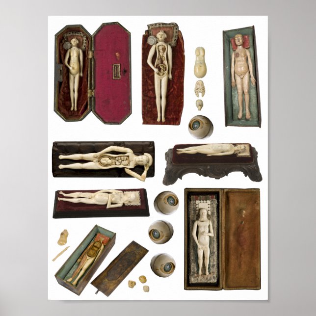 human anatomy dolls body parts collage sheet poster (Front)