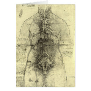 Human Anatomy, Female Torso by Leonardo da Vinci