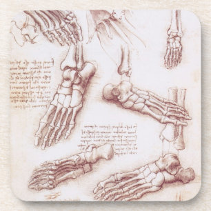 Human Anatomy Foot Bones by Leonardo da Vinci Coaster