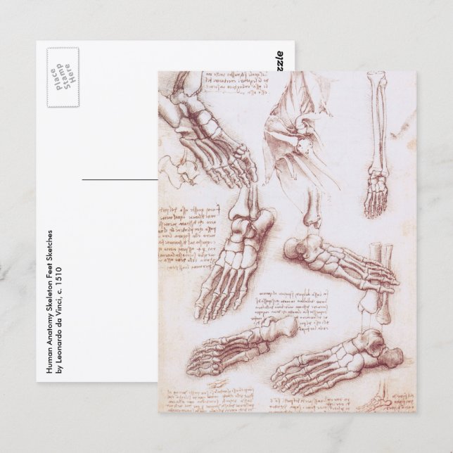 Human Anatomy Foot Bones by Leonardo da Vinci Postcard (Front/Back)