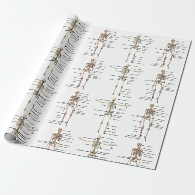Human Anatomy Human Skeleton medical diagram Wrapping Paper (Unrolled)