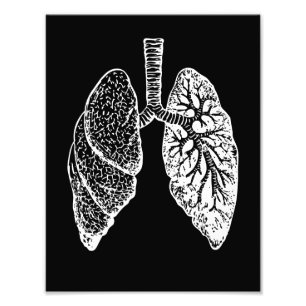 Human anatomy, lungs black and white photo print