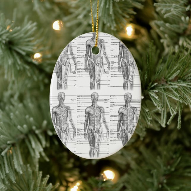 Human Anatomy Medical Chart Ceramic Ornament (Tree)
