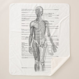Human Anatomy Medical Chart Sherpa Blanket