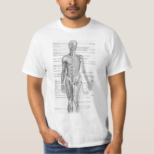 Human Anatomy Medical Chart  T-Shirt