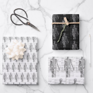 Human Anatomy Medical chart Wrapping Paper Sheet