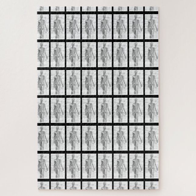 Human Anatomy Medical Charts Jigsaw Puzzle (Vertical)