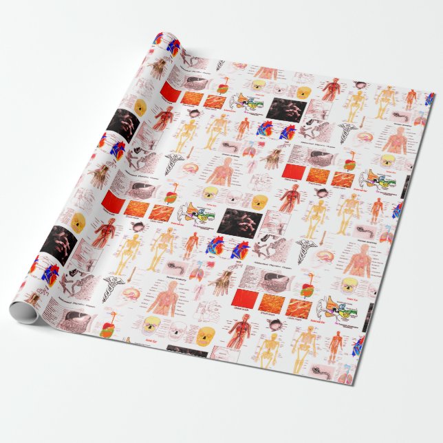 Human Anatomy Medical Charts Wrapping Paper (Unrolled)