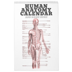 Human Anatomy Medical Diagram Novelty Science Calendar