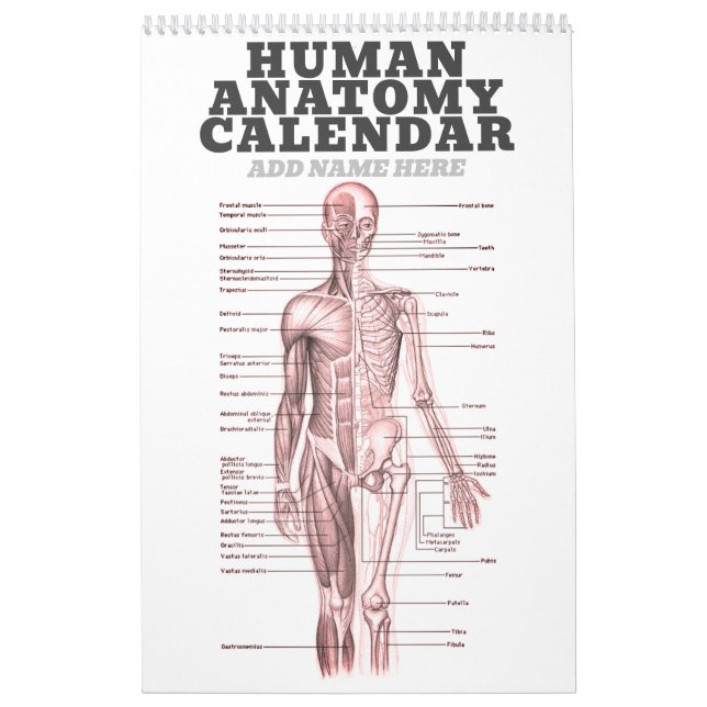 Human Anatomy Medical Diagram Novelty Science Calendar (Cover)