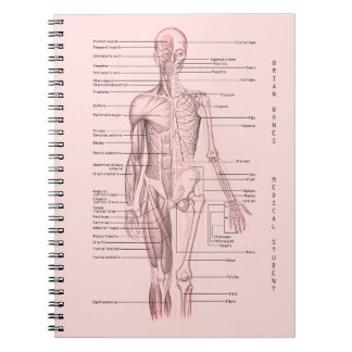 Human Anatomy Medical Diagram Personalised School Notebook